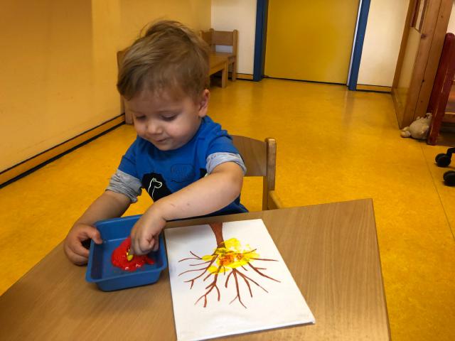 Bild